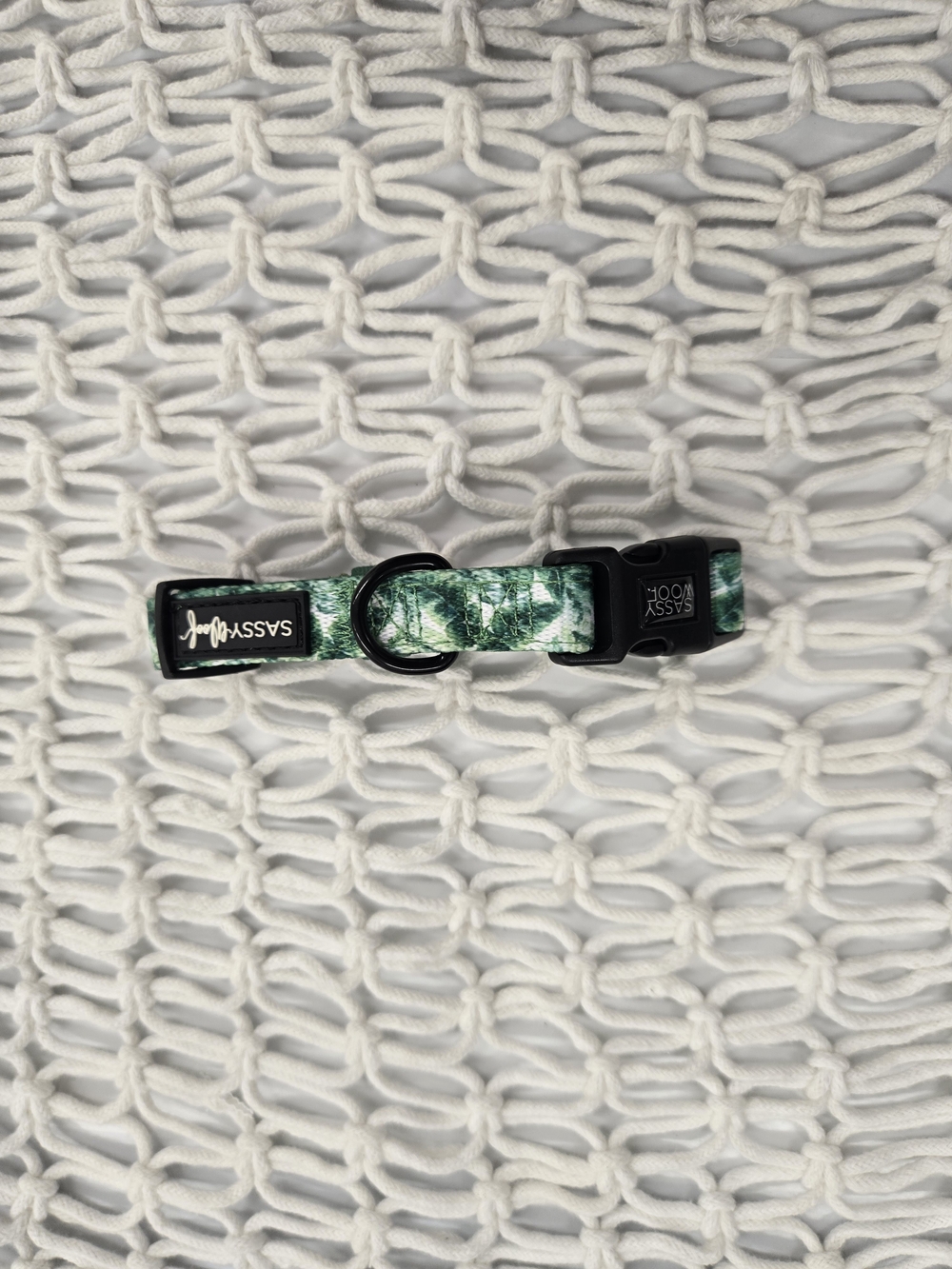 Sassy Woof Green Tropical Leaf Pet Collar - SMALL